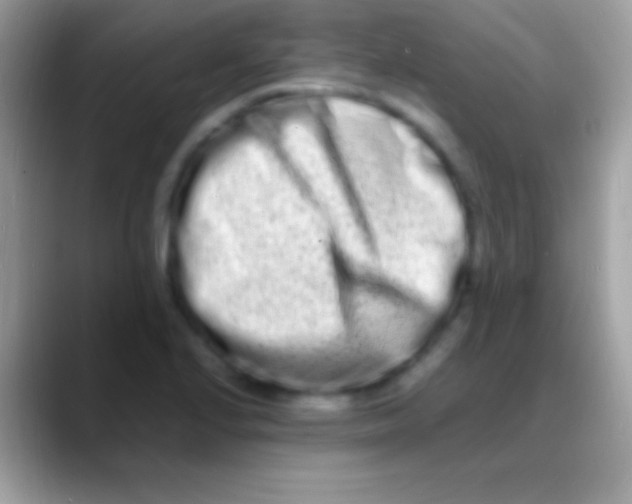 X0000088131224200706041313