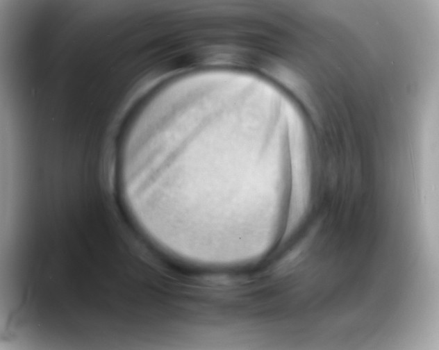 X0000088131227200706041313