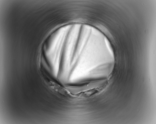 X0000088131228200706041313