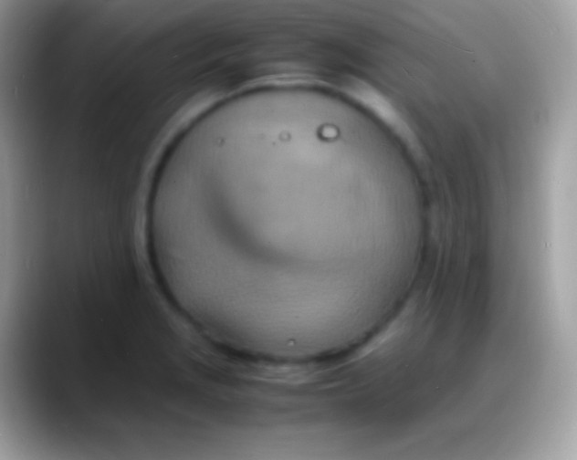 X0000088131229200706041313