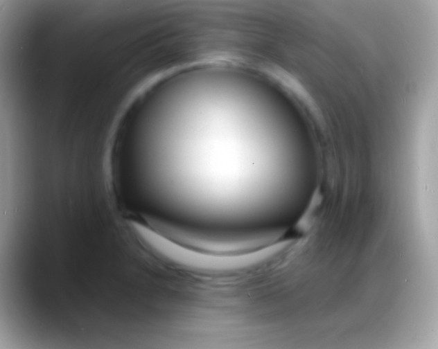 X0000088131230200706041313