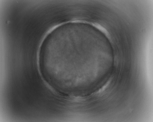 X0000088131231200706041313