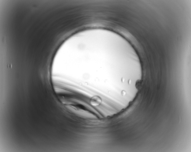 X0000088131232200706041313