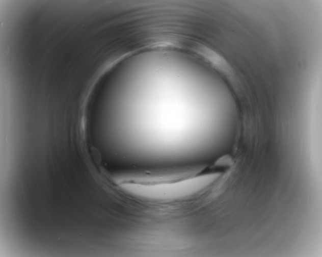 X0000088131234200706041313