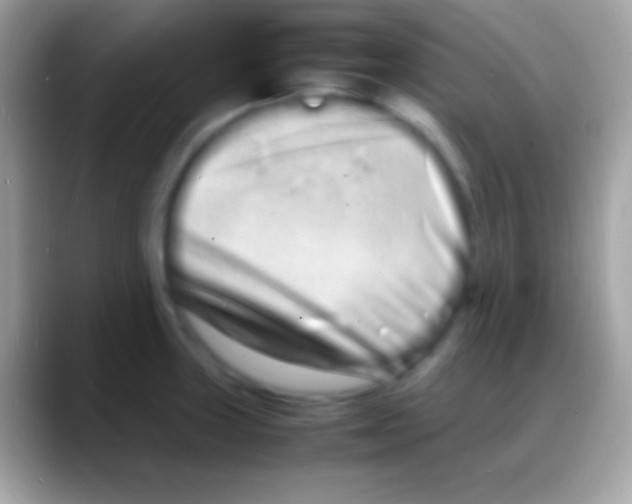 X0000088131235200706041313