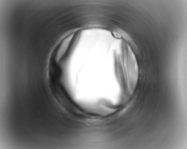 X0000088131236200706041313