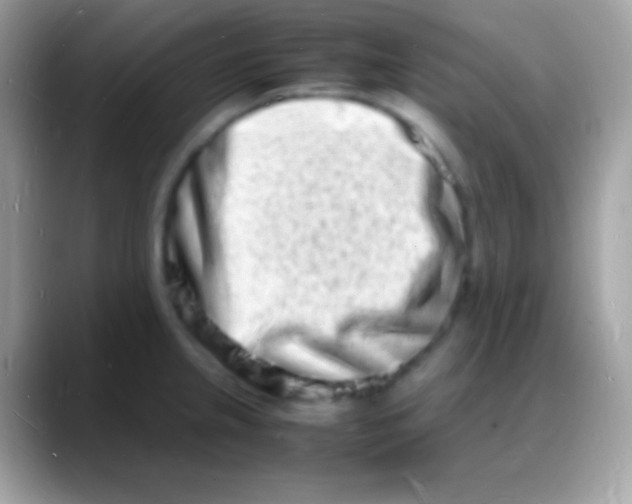 X0000088131237200706041313