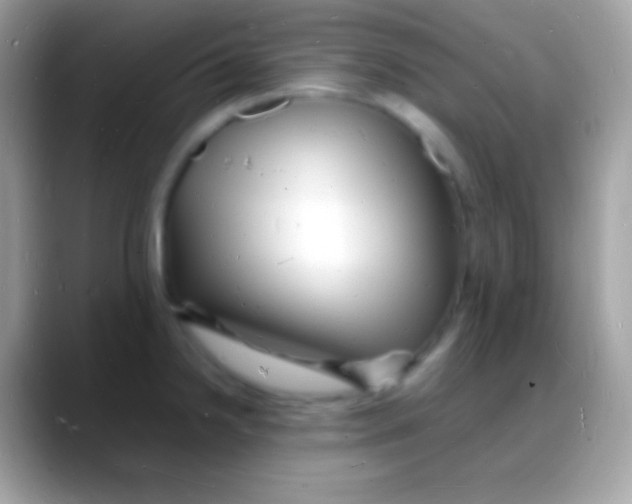 X0000088131238200706041313