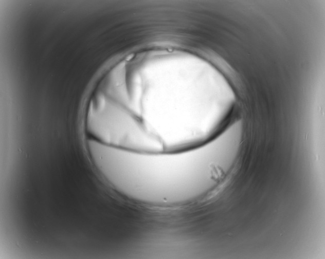 X0000088131240200706041313