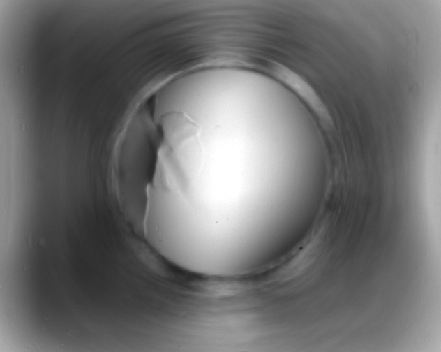 X0000088131242200706041313