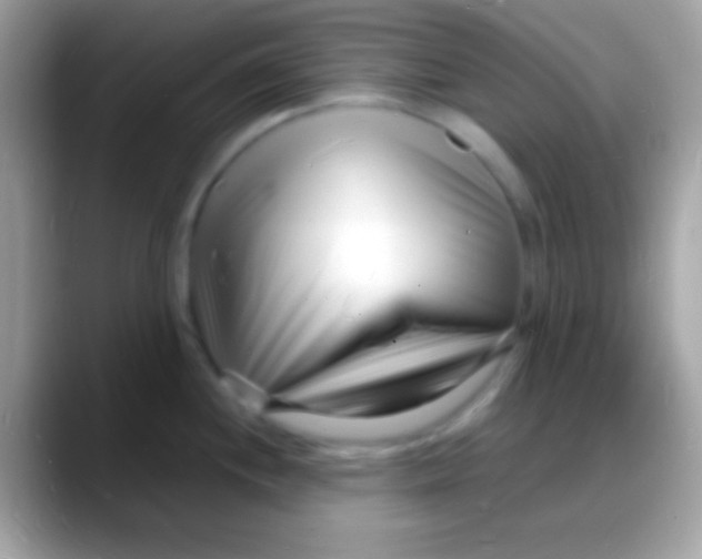 X0000088131244200706041313