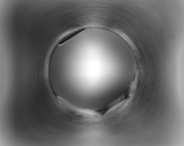 X0000088131246200706041313