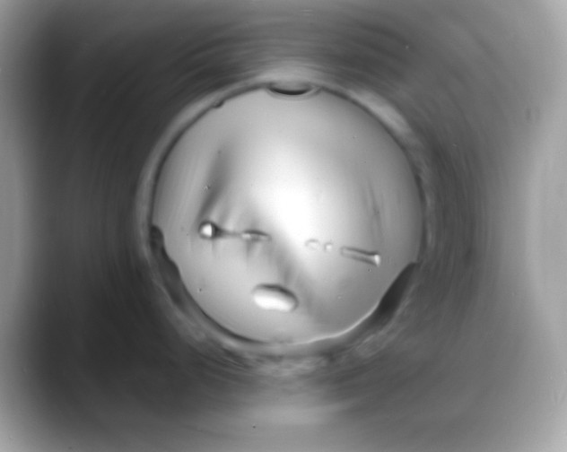 X0000088131248200706041313