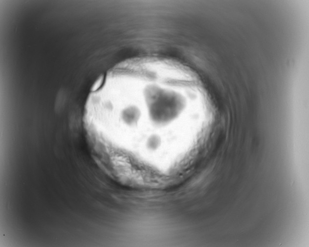 X0000088131251200706041313