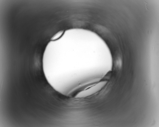 X0000088131252200706041312