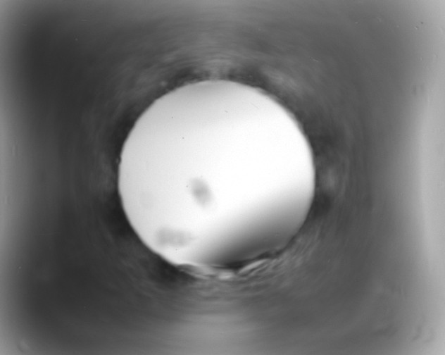 X0000088131253200706041312