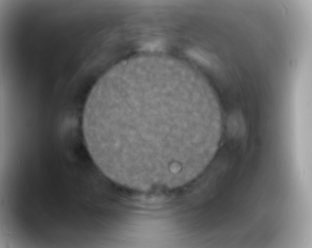 X0000088131254200706041312