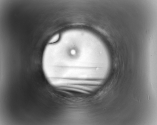 X0000088131255200706041312