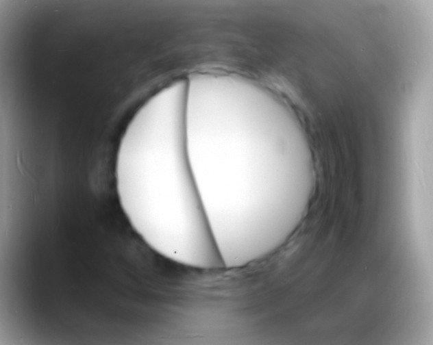 X0000088131256200706041312