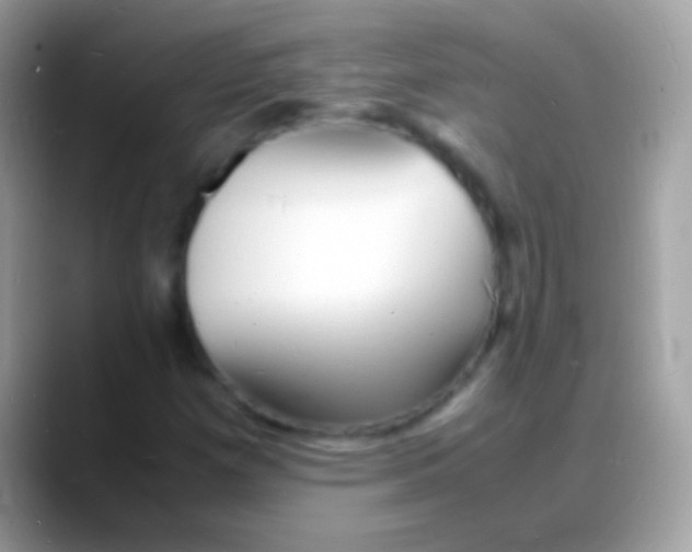 X0000088131257200706041312