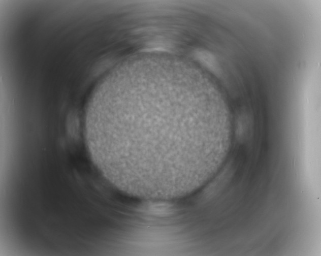 X0000088131258200706041312