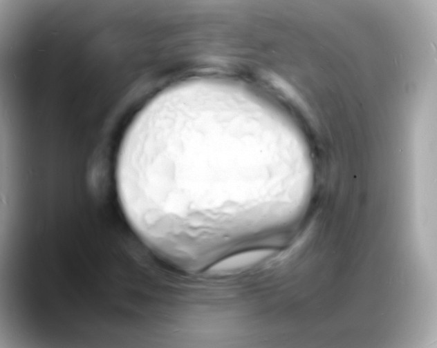 X0000088131259200706041312