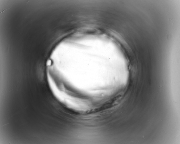 X0000088131260200706041312