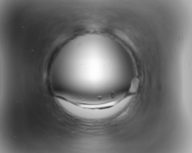 X0000088131261200706041312