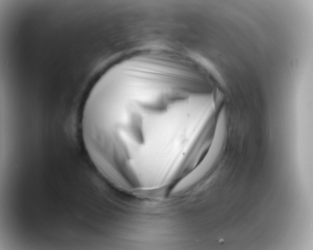 X0000088131264200706041312