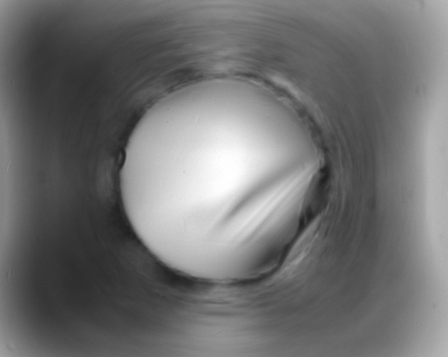 X0000088131265200706041312