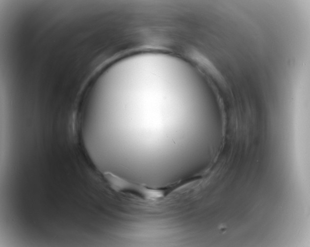 X0000088131268200706041312