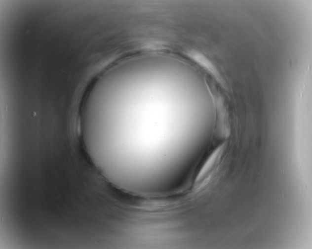 X0000088131269200706041312