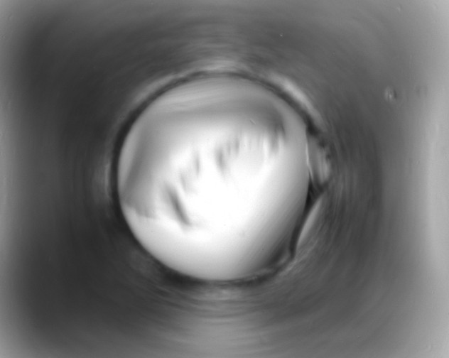 X0000088131270200706041312