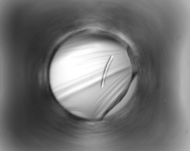 X0000088131272200706041312