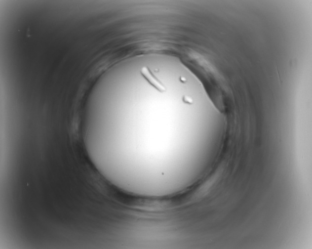 X0000088131273200706041312