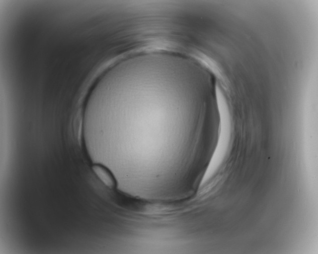 X0000088131275200706041312