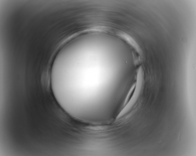 X0000088131276200706041312