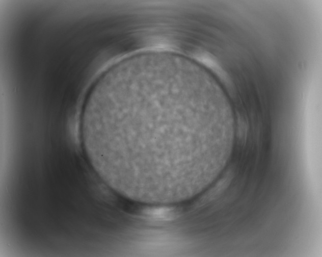 X0000088131278200706041312