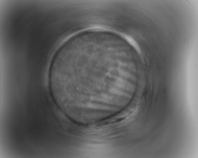 X0000088131279200706041312