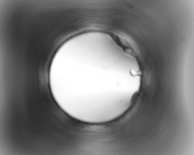 X0000088131280200706041312