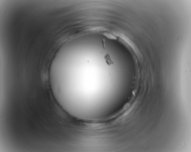 X0000088131281200706041312