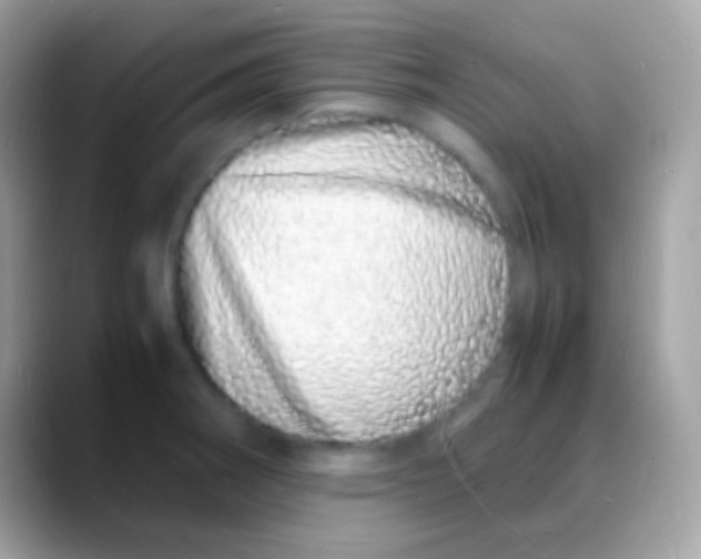 X0000088131282200706041312