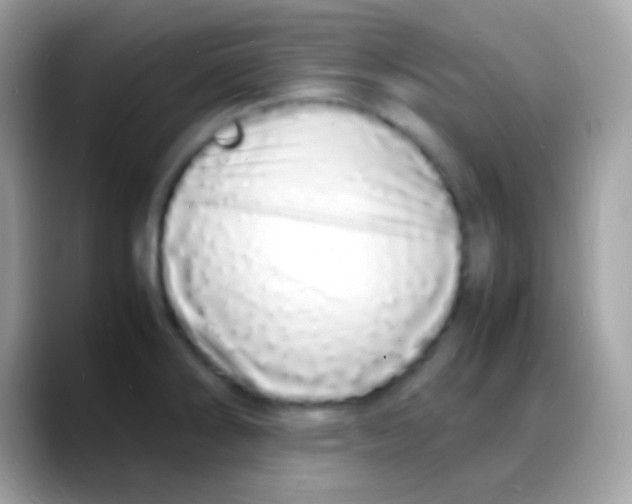 X0000088131286200706041312