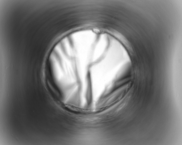 X0000088131288200706041312