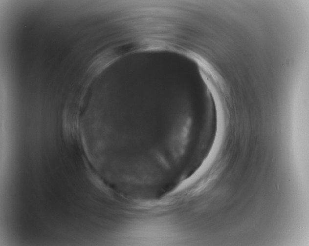 X0000088131289200706041312