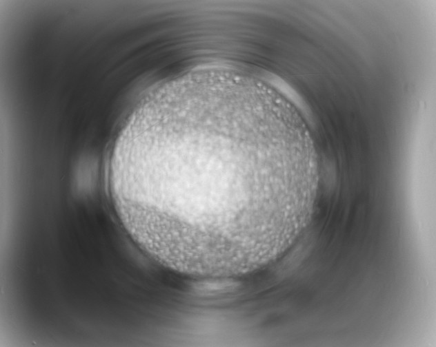 X0000088131290200706041312