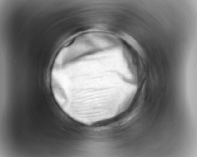 X0000088131292200706041312