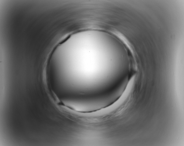 X0000088131293200706041312