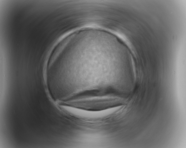 X0000088131295200706041312