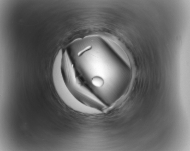 X0000088131298200706041311